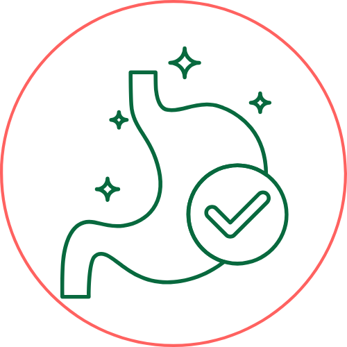 Digestive