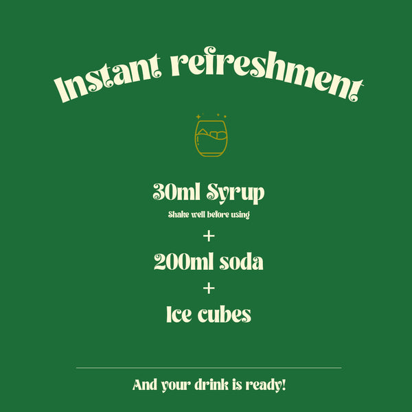 Refresh with Geeta Syrup's Pudina - Natural Mint Flavoured Syrup for Drinks and Fruits