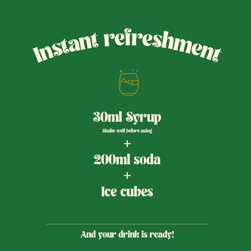 Refresh with Geeta Syrup's Pudina - Natural Mint Flavoured Syrup for Drinks and Fruits